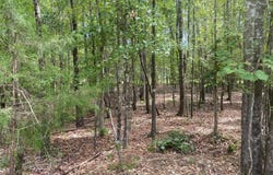 203 W Peninsula Drive, Laurens, SC 29360