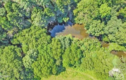 Daddys Creek Tr, Crab Orchard, TN 37723
