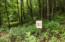 Mcintosh Drive, Lowgap, NC 27024