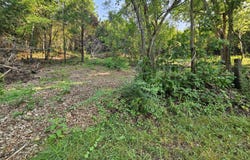 Mclean Road, Ozark, MO 65721