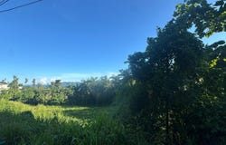 Cañaboncito, Caguas, PR 00727