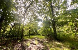 12295 S Bee Emet Rd, Milburn, OK 73450