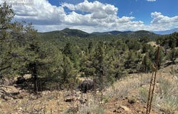 2973 Driftwood Road, Westcliffe, CO 81252
