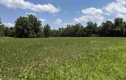 State Road 46, Center Point, IN 47840
