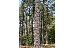 202 Crooked Cedar Trail, Broken Bow, OK 74728