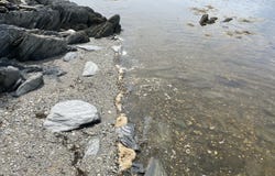 1552 Turtle Head Road, Islesboro, ME 04848