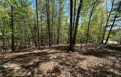 534 Ginseng Drive, Sunset, SC 29685