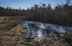 58 Dodgen Road, Gurdon, AR 71743