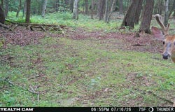 1714 Thunder Road, Gillett, PA 16925