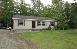 16644 Wildlife Trail, Wolverine, MI 49799
