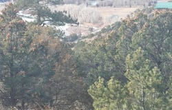 119 Cactus Road, South Fork, CO 81154