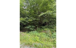 Johns Mountain Road, Vilas, NC 28692