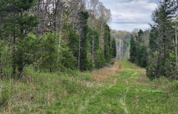 County Road 250-163, Drury, MO 65638