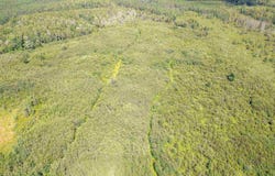 Road Access, Cotton, MN 55724