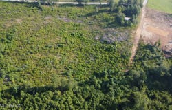 Sinclair Road, Columbia, MS 39429