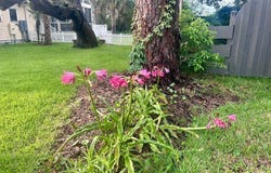 32 E PARK Avenue, St. Augustine, FL 32084