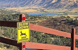 Zurich Drive, Tehachapi, CA 93561