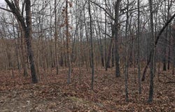 Half Place lot: 2713, Edwards, MO 65326