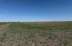 Blackbird, Amarillo, TX 79108