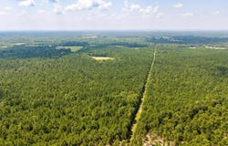 Arkadelphia, AR 71923