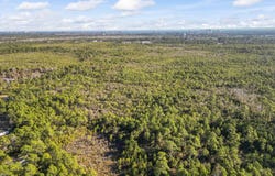 Sugar Bowl Ln., Longs, SC 29568