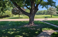 1908 W 11th St, Spencer, IA 51301