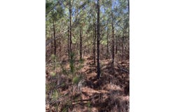36 Moton Moore Road, McCormick, SC 29835