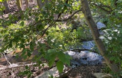 0000 Logging Rd., Viola, CA 96088