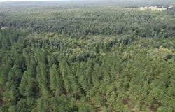 Laramore Rd, Marianna, FL 32448