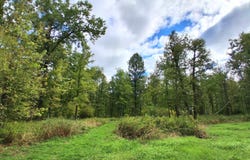 US Hwy 169, Onamia, MN 56359