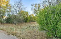 19861 Barnes Cir, CO 80751