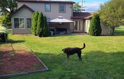 149 Beauchamp, Chicopee, MA 01020
