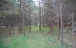 36 Bluff View Drive, Dunlap, TN 37327