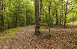 Abbott Mill Road lot: 9-10, Ellijay, GA 30540