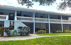 1955 ABRICO Drive, LUTZ, FL 33558