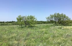 917 SanJacinto Drive, Aledo, TX 76008