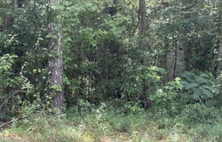 Sr 1916 & 1917, Aurora, NC 27806