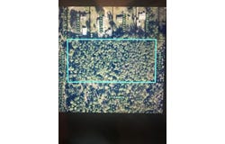 Carter Rd, St Augustine, FL 32086