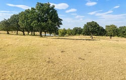 0 Northpark Northpark, Bowie, TX 76230