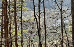 Brown Road Lot, Van Buren, MO 63965
