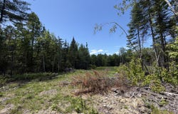 Merritt Drive, Orono, ME 04473