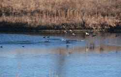 1636 E Rd 50, Lecompton, KS 66050