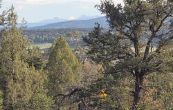 CR 329, Ignacio, CO 81137