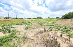16709 Llano Estacado, Atascosa, TX 78002