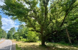6825 Clay Road, Spencer, WV 25276
