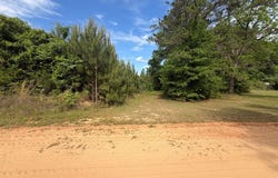 97 Stricklin Road, BRANTLEY, AL 36009