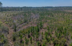 MEMORIAL Drive, Waycross, GA 31503