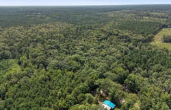Elkins, White Hall, AR 71602