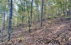 31,32,33 Maverick Drive, Ashville, AL 35953