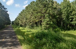 Jolene Road, Basile, LA 70515